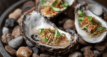 A plate of stones which has oysters in shells on top of them ready to eat