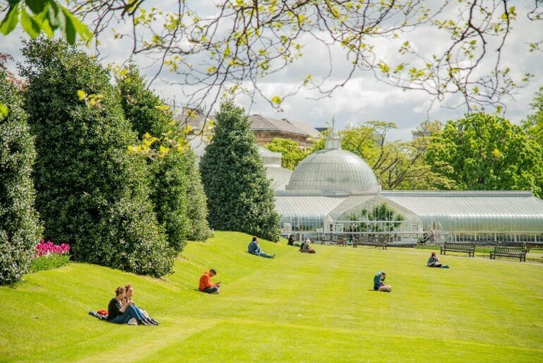 People sit on grass in a park on a sunny day in front of a bank of trees and a Victorian glasshouse.
